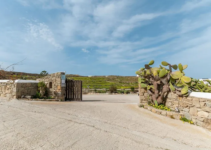 Myconian V Pool * Ornos (Mykonos)