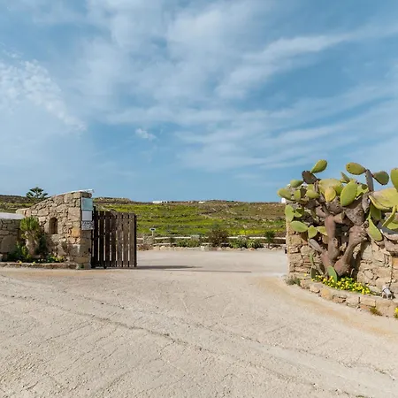 Myconian V Pool * Ornos (Mykonos)